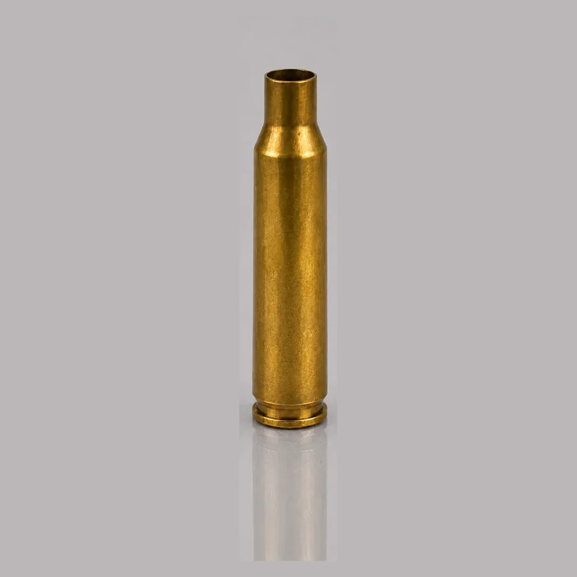 5.56×45mm CASE