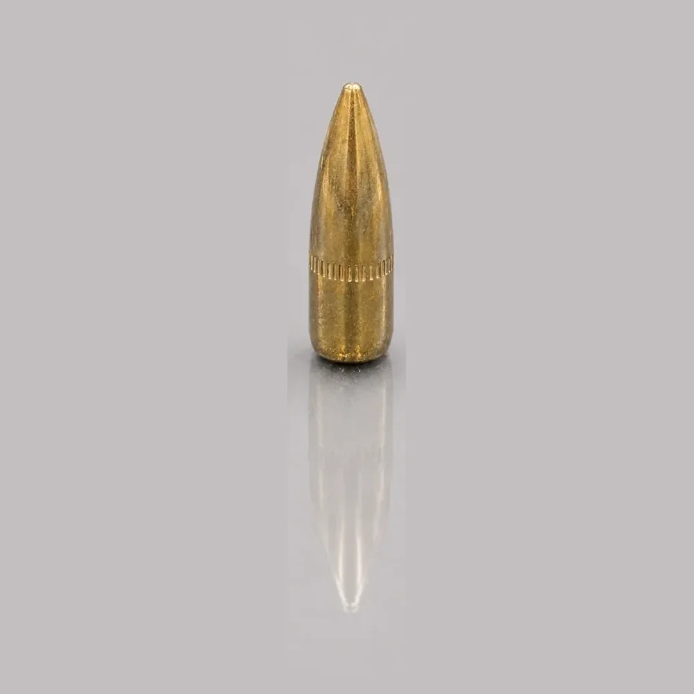 5.56×45mm M193 / SS109